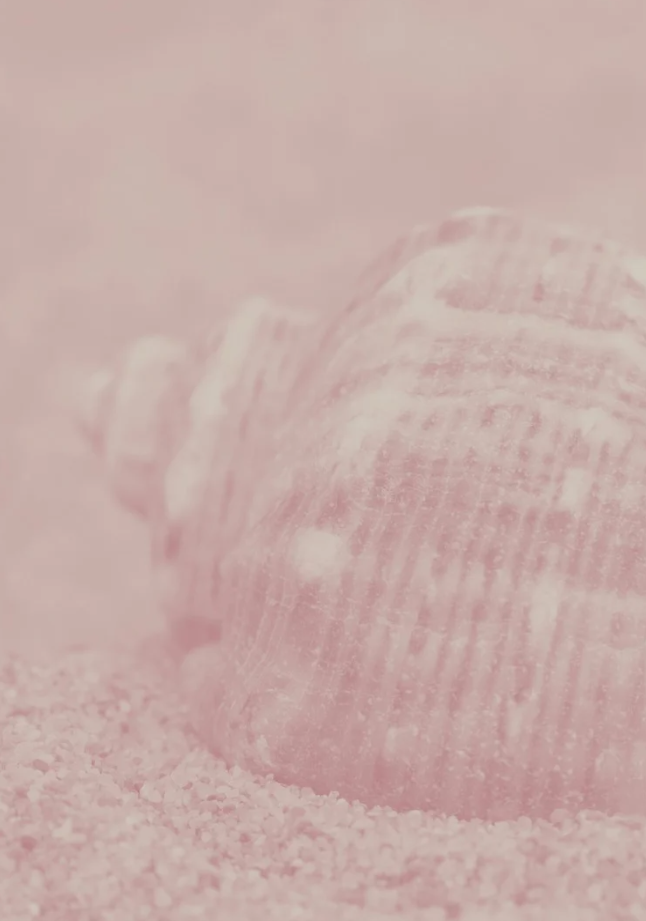 Captura de pantalla 2026 02 09 a las 17.35.03